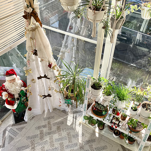 tararaさんの部屋