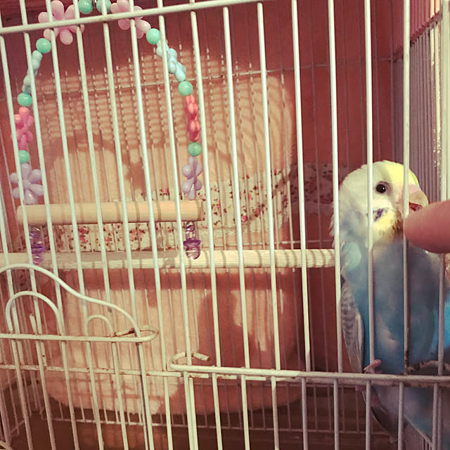 部屋全体のインテリア実例 - 2019-11-28 10:29:59
