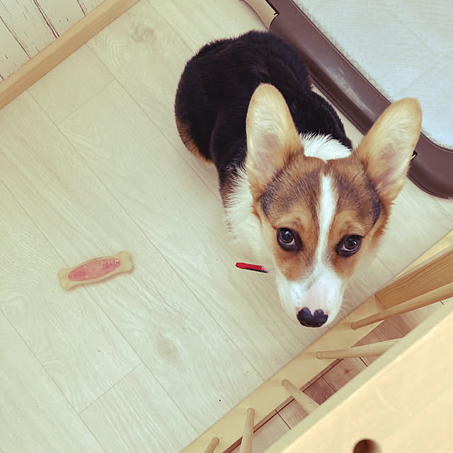 bobさんの実例写真
