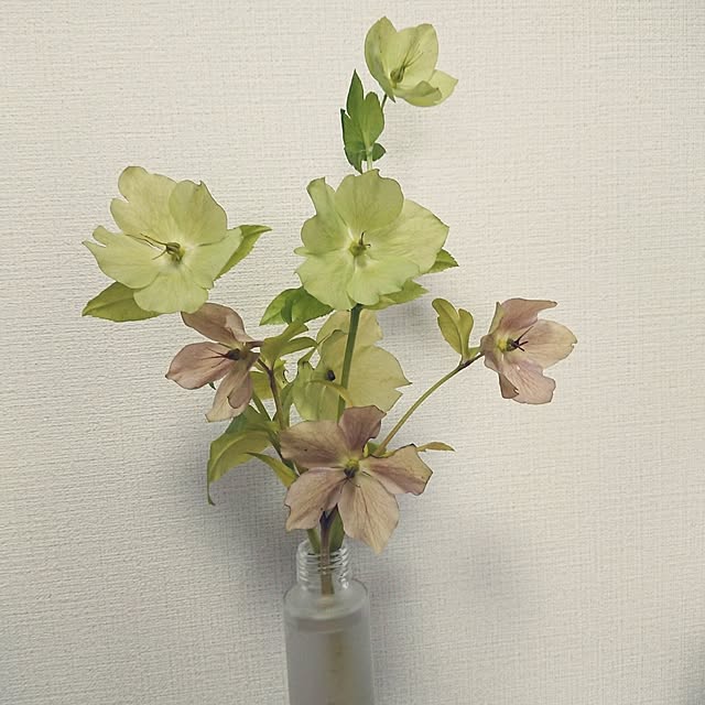 hopkeiさんの実例写真