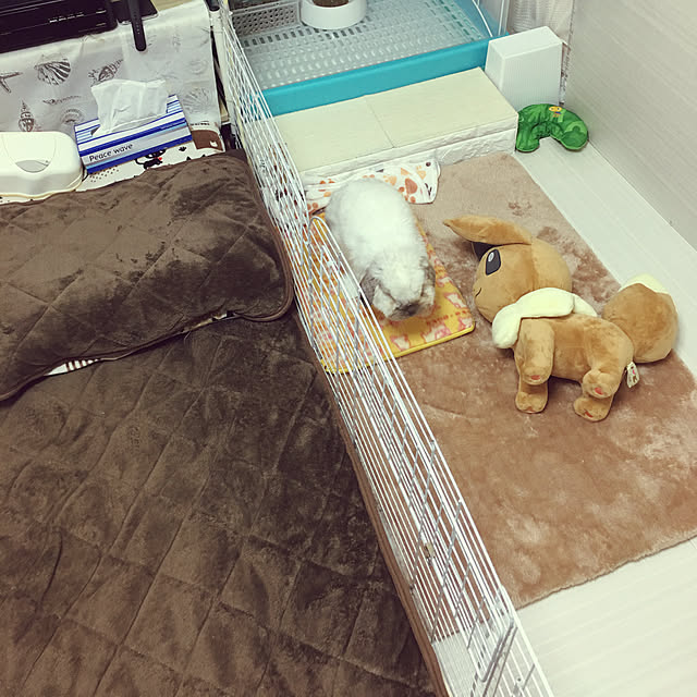 FUさんの実例写真