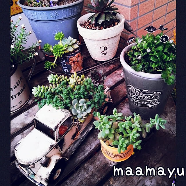mayuさんの実例写真