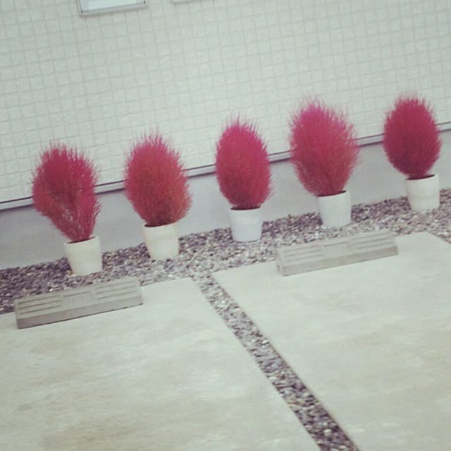 hirokoさんの実例写真