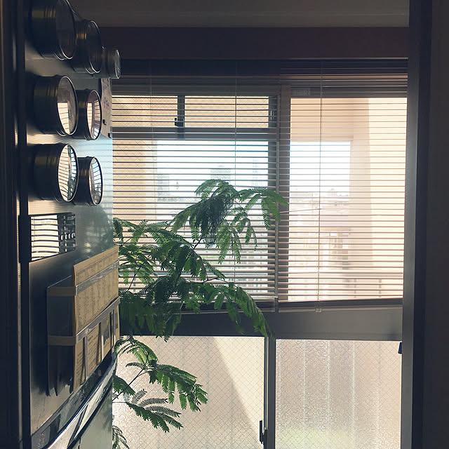 cottoncottonさんの実例写真