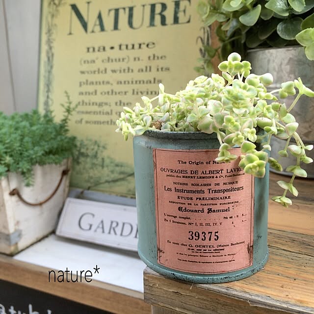 natureさんの実例写真