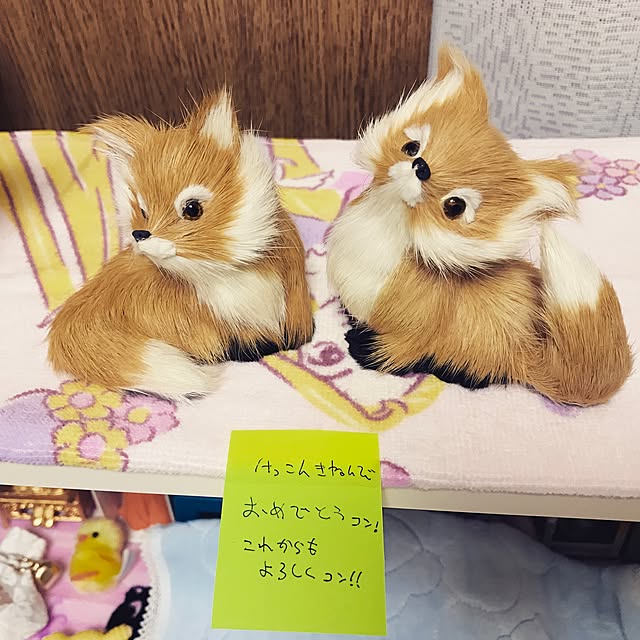 Sachikoさんの実例写真
