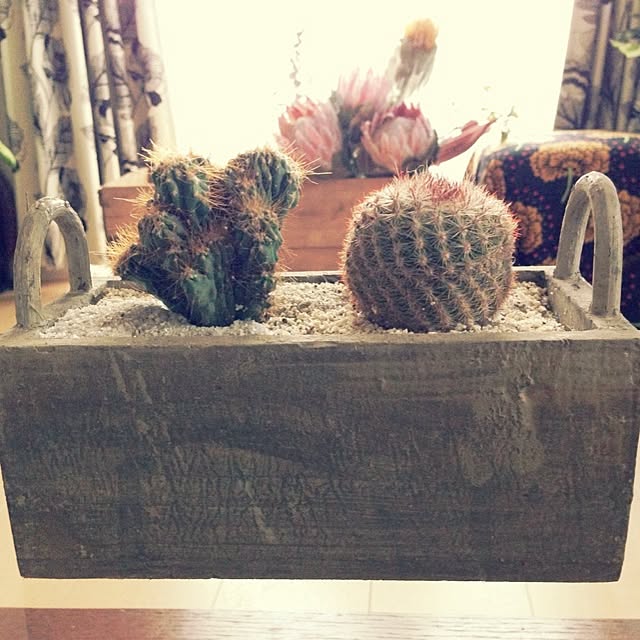 MMさんの実例写真