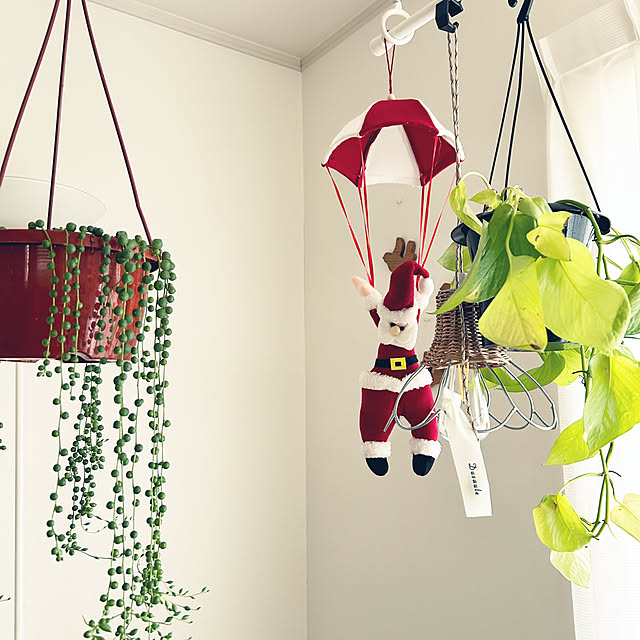 asasouさんの実例写真