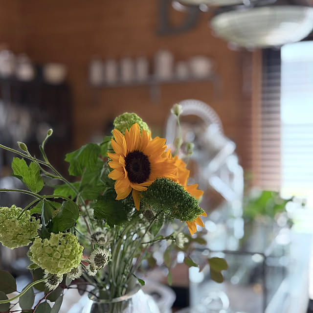 puffloveさんの部屋