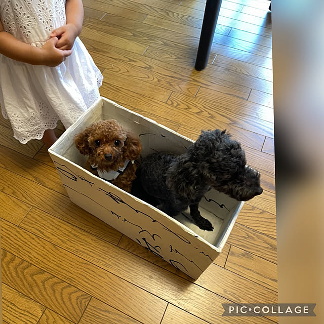 mamizaさんの実例写真