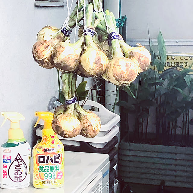 hanachanさんの実例写真