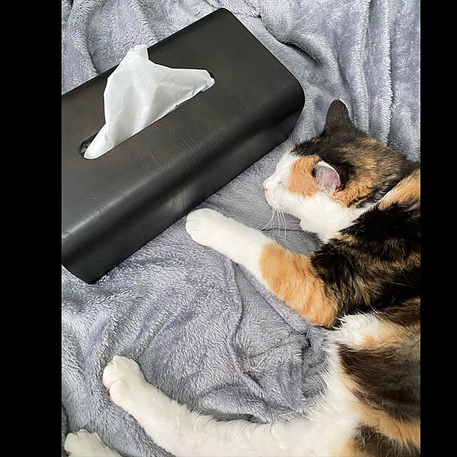 necomuraさんの実例写真