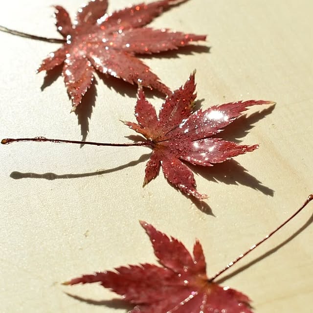 nikoさんの実例写真