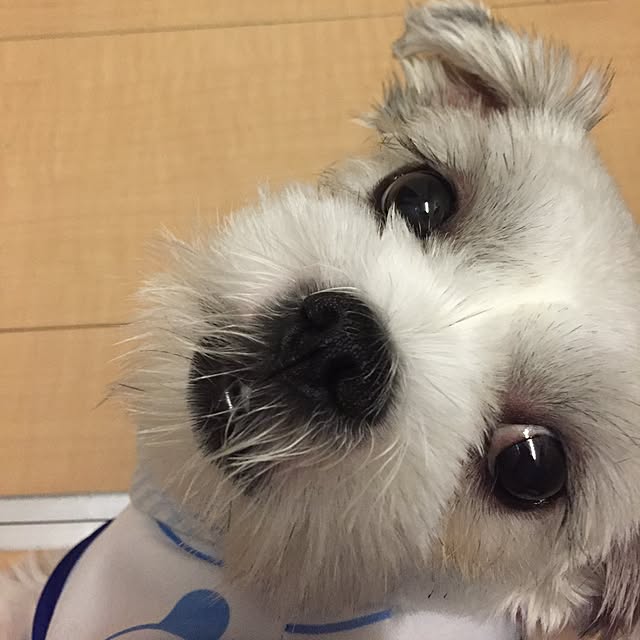 emiさんの実例写真