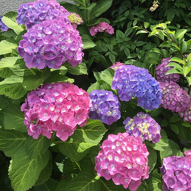 full.of_fun.mayuponさんの実例写真
