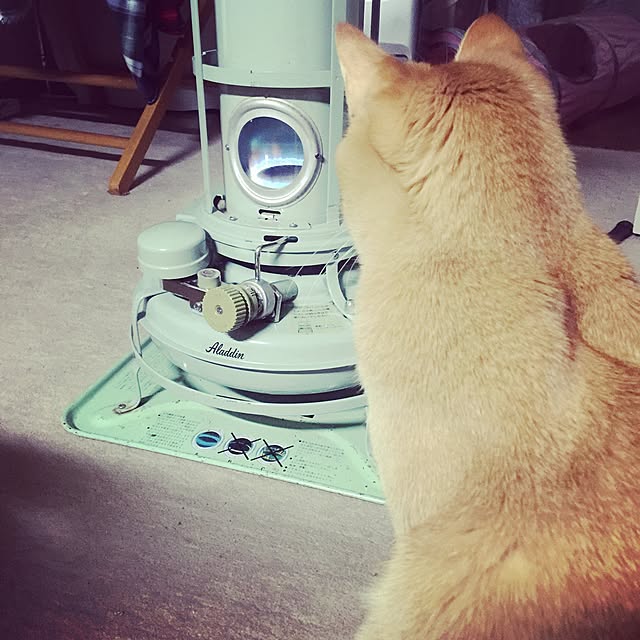 Tomoさんの実例写真