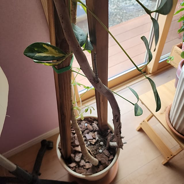 saさんの部屋