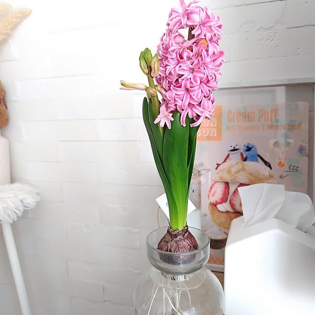 yamamaさんの部屋