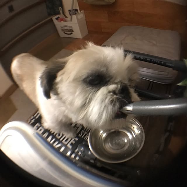 lenkaさんの実例写真