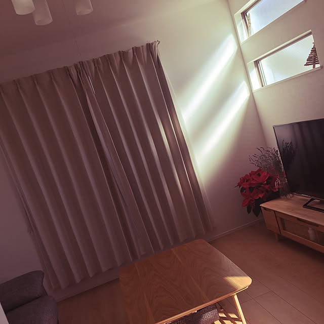 部屋全体/ナチュラルのインテリア実例 - 2016-12-21 19:01:59