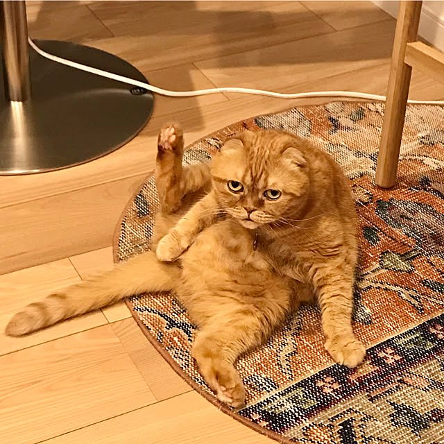 hm_myhomeさんの実例写真
