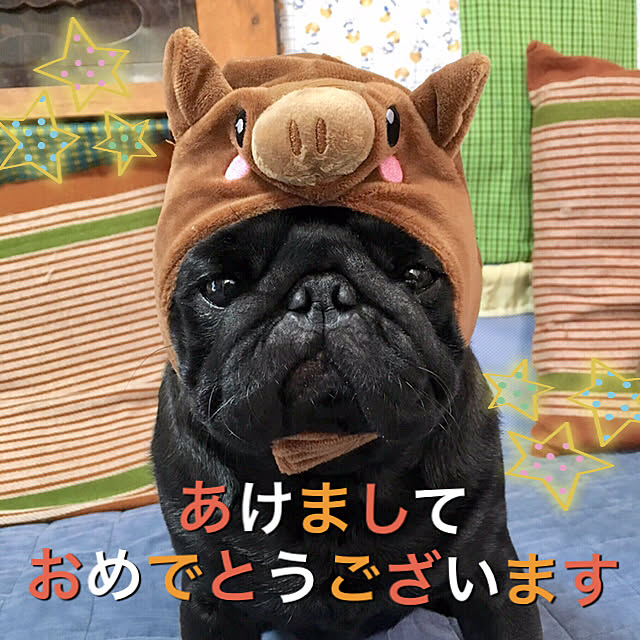 kopandaさんの実例写真