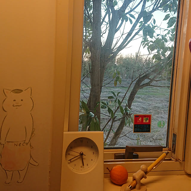 実例写真