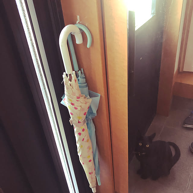 jijiさんの実例写真