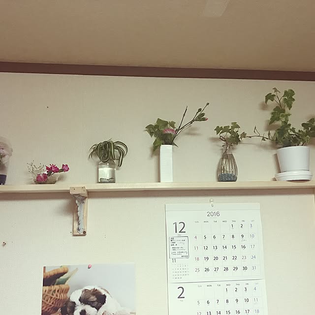 実例写真