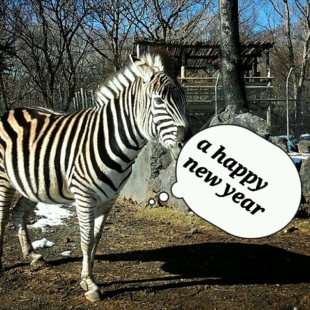 macchanさんの実例写真