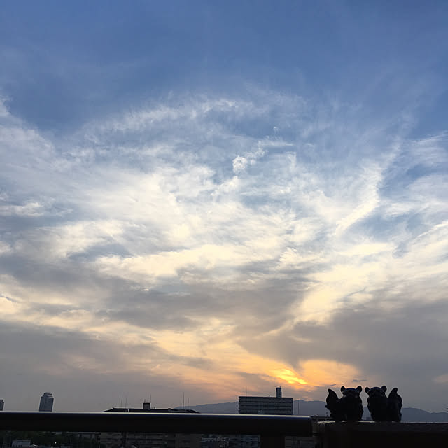 simple_blowbackさんの実例写真
