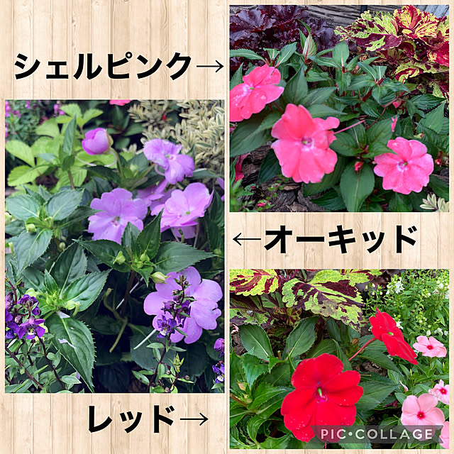 yukarin-gardenさんの実例写真