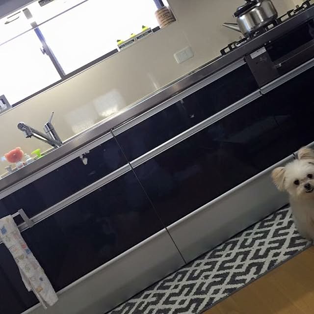 juribonbiさんの実例写真