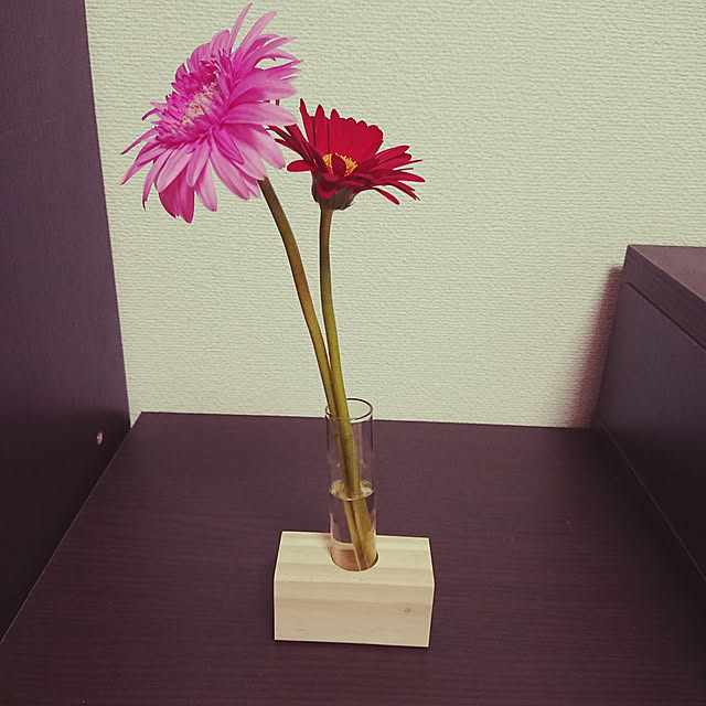 koteaさんの実例写真