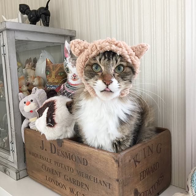 yuchiさんの実例写真
