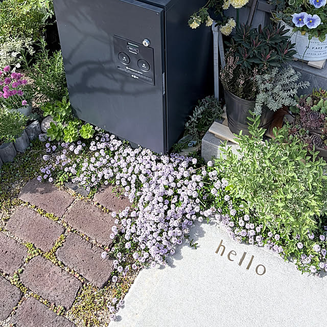 chipsさんの実例写真