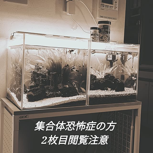 soyokoさんの実例写真