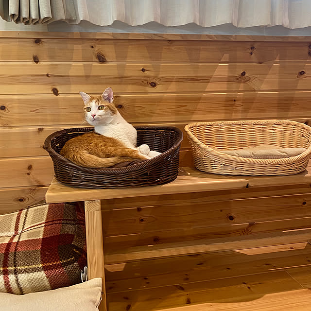 senbei.sakuramochiさんの実例写真
