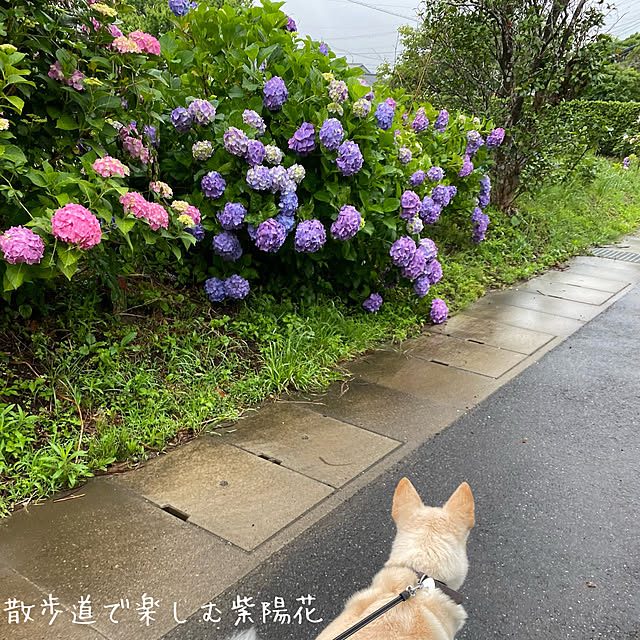 tanboさんの部屋