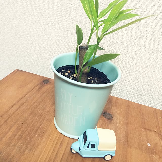 a-saさんの実例写真