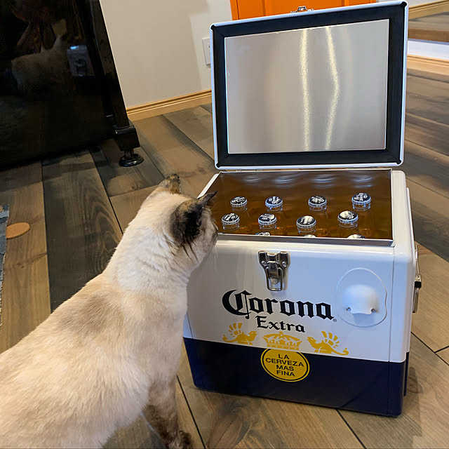 miyaさんの実例写真