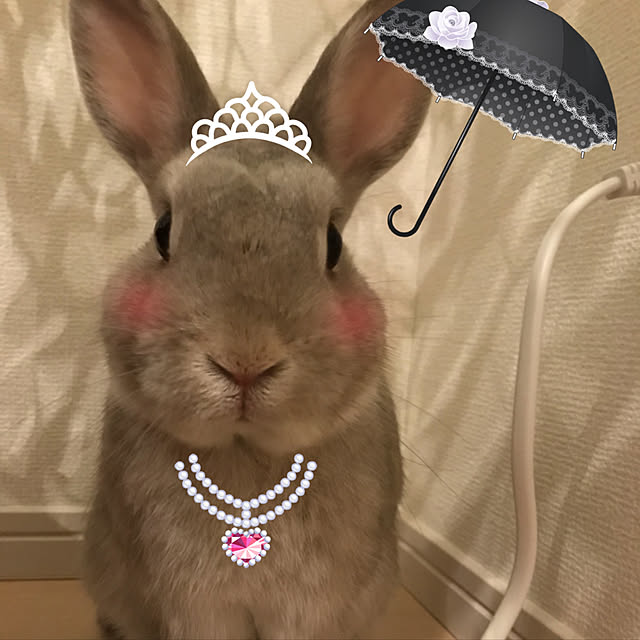 Satokoさんの実例写真