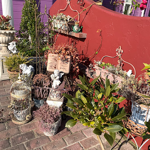 AYUKOさんの実例写真