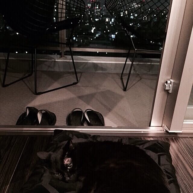 blkさんの実例写真