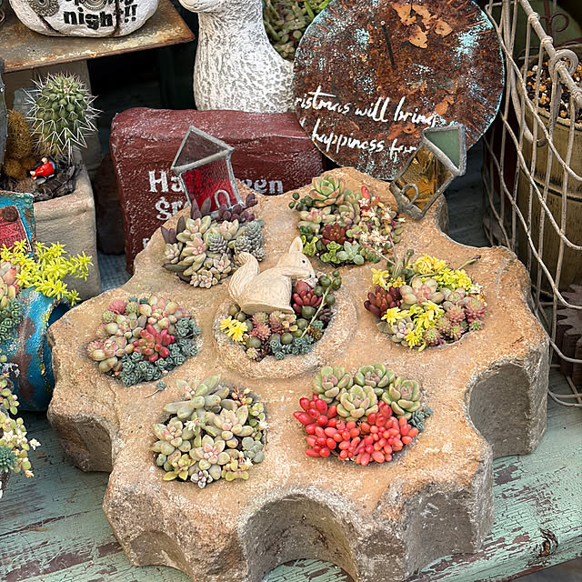 calmeさんの実例写真