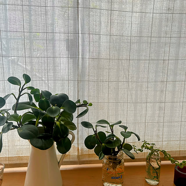magnoliaさんの部屋