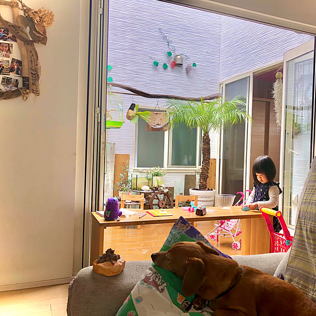 Yukoさんの実例写真