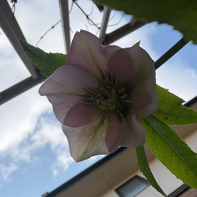 ritsukoさんの部屋