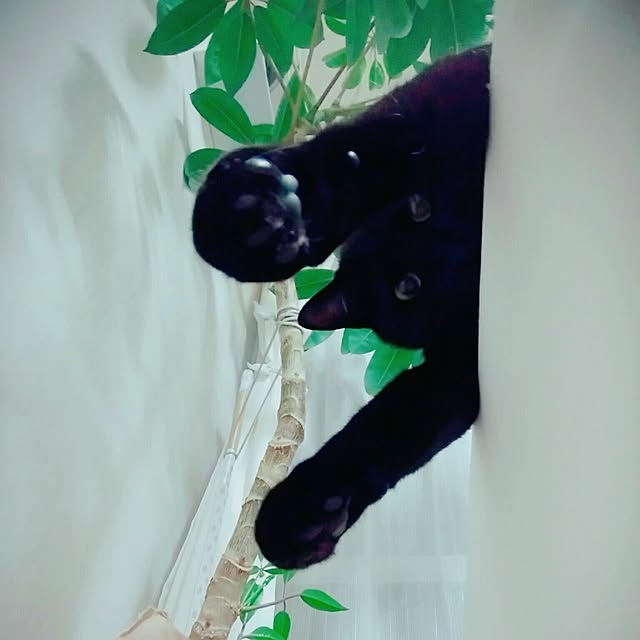 taleo07さんの実例写真
