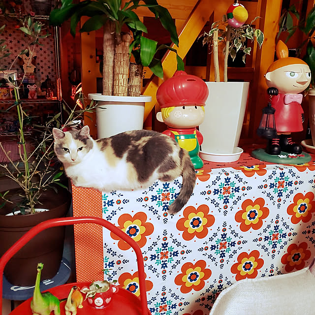 kumutanさんの実例写真